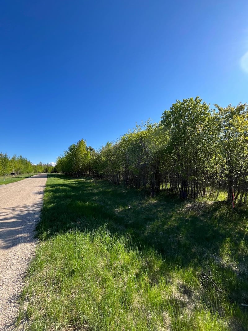 Lot 3 - TBD 330th St, Warroad, MN 56763