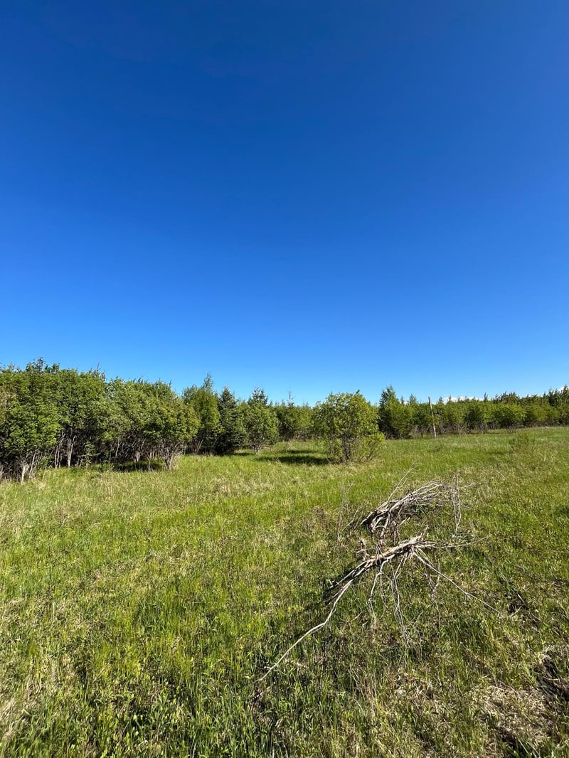 Lot 4 - TBD 330th St, Warroad, MN 56763