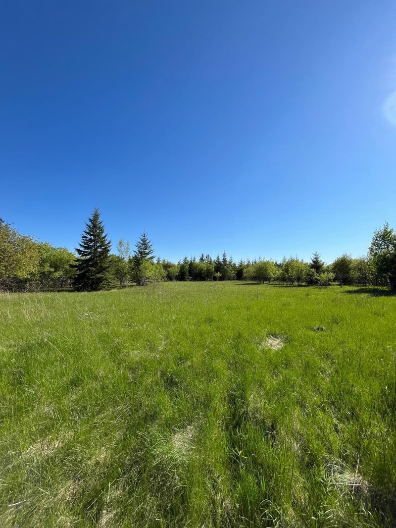 Lot 4 - TBD 330th St, Warroad, MN 56763