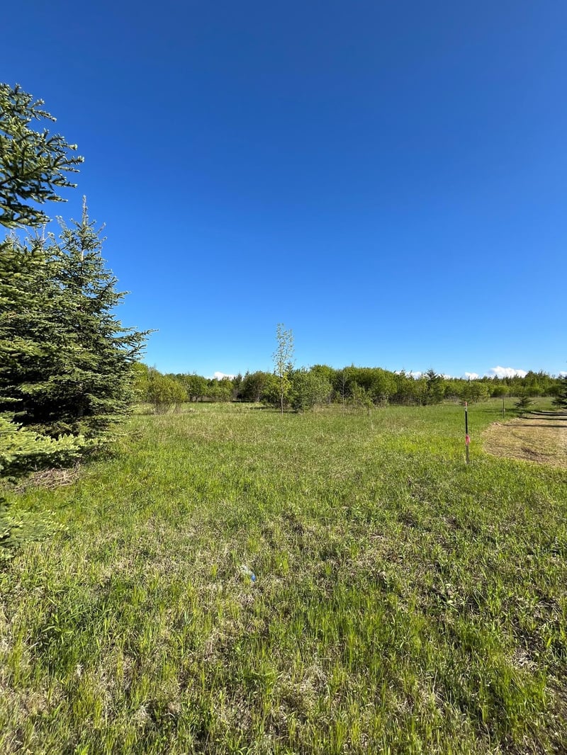 Lot 4 - TBD 330th St, Warroad, MN 56763