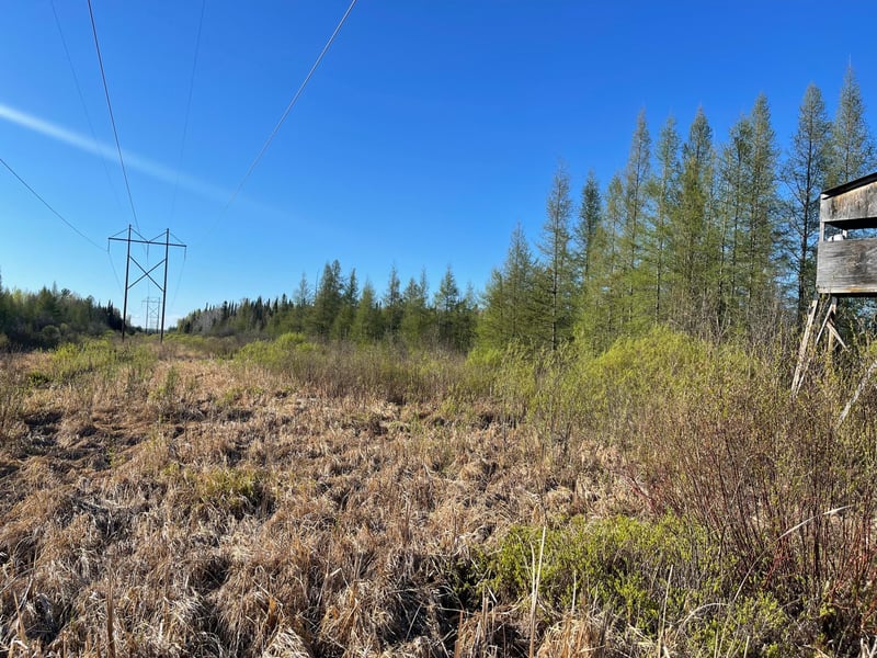 508 Cedar Valley Rd, Floodwood, MN 55736