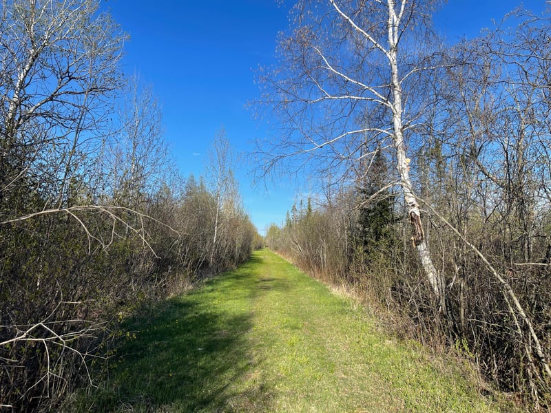 508 Cedar Valley Rd, Floodwood, MN 55736