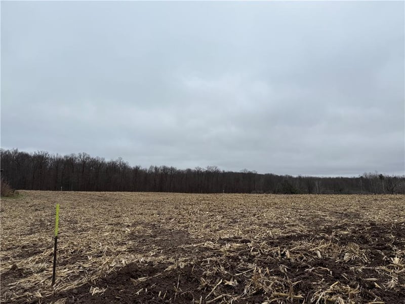 Lot 1 County Hwy D, Sarona, WI 54870
