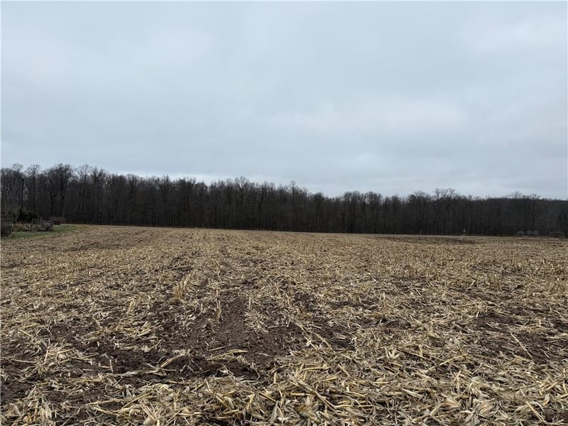 Lot 1 County Hwy D, Sarona, WI 54870