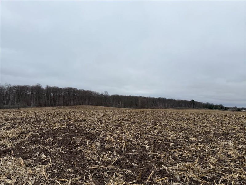 Lot 1 County Hwy D, Sarona, WI 54870