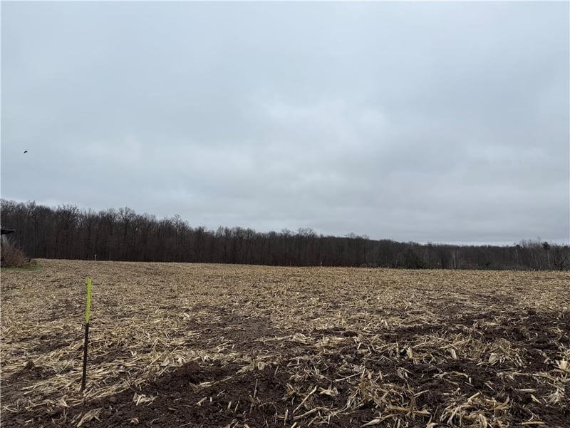 Lot 1 County Hwy D, Sarona, WI 54870