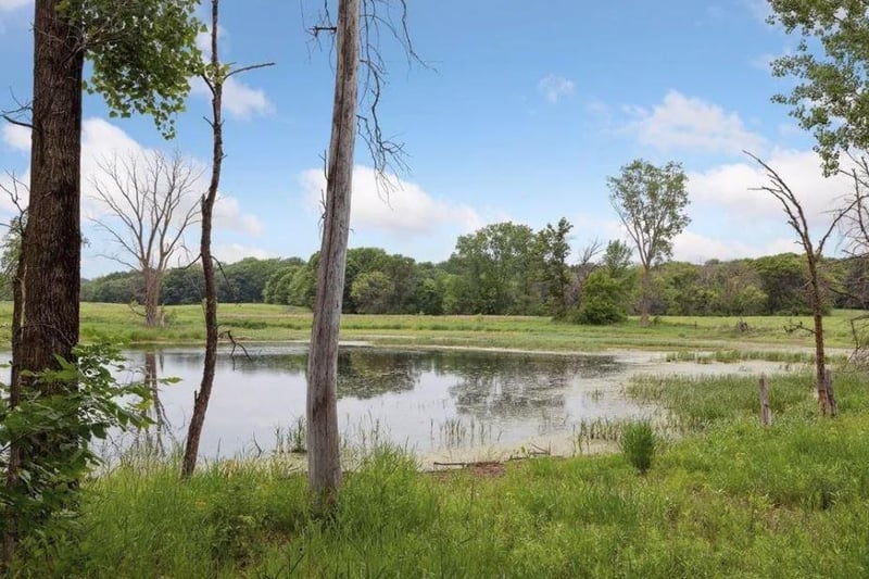 11454 Blazingstar Ln N, Lake Elmo, MN 55042