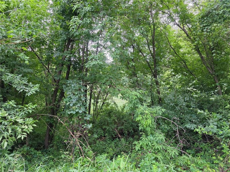 TBD Michigan Ave, Crosby, MN 56441