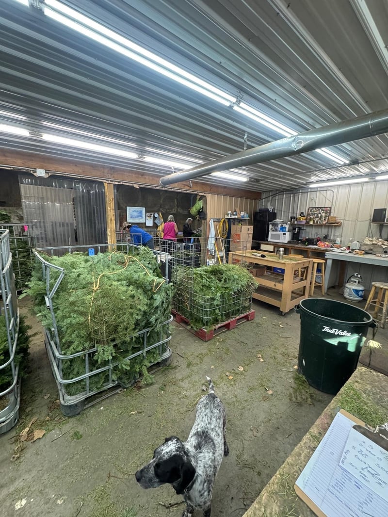 2585 State 200 NE, Remer, MN 56672