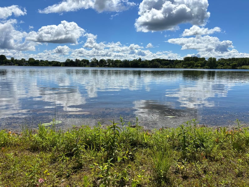 12521 Homestead Dr, Hugo, MN 55110