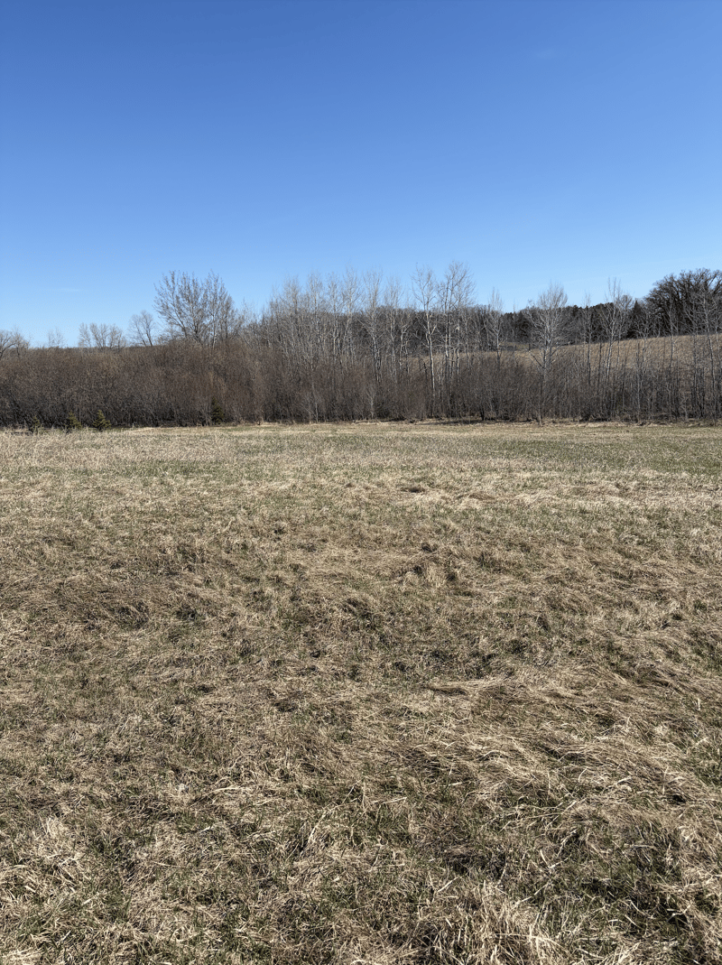 TBD Tasha Dr NW, Garfield, MN 56332
