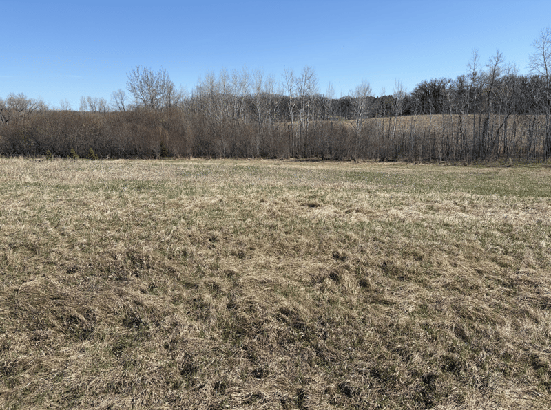 TBD Tasha Dr NW, Garfield, MN 56332