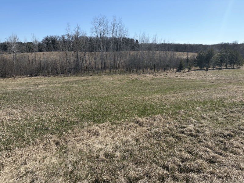 TBD Tasha Dr NW, Garfield, MN 56332