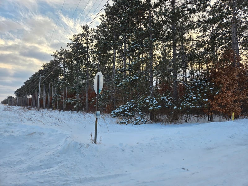 36XXX Forest Blvd, North Branch, MN 55056