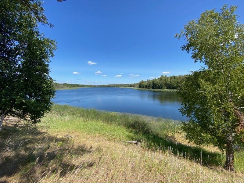 49954 209th Ave, Clearbrook, MN 56634