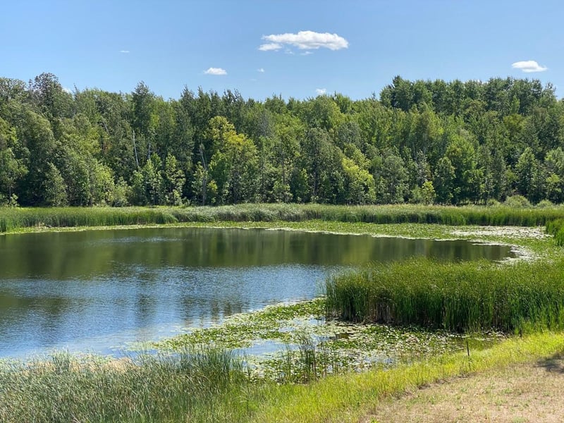 49954 209th Ave, Clearbrook, MN 56634