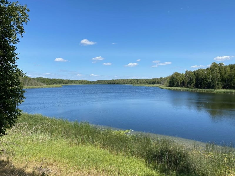 49954 209th Ave, Clearbrook, MN 56634
