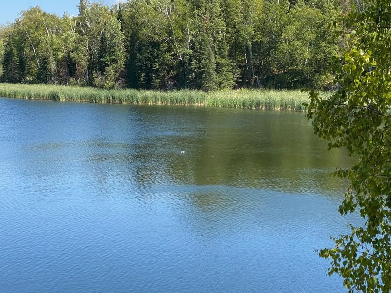 49954 209th Ave, Clearbrook, MN 56634