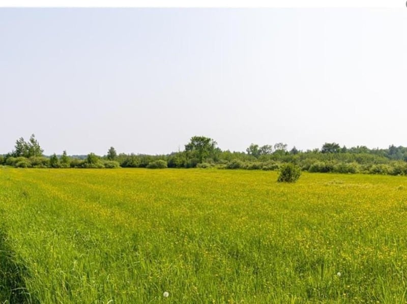 W74TBD Homestead Rd, Conrath, WI 54731
