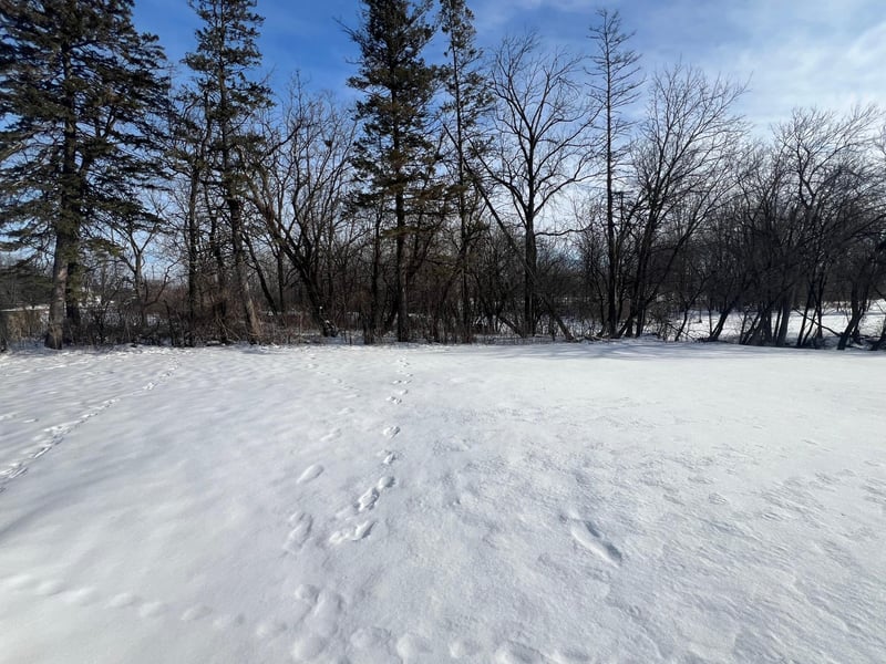 209 N Section Ave, Spring Valley, MN 55975