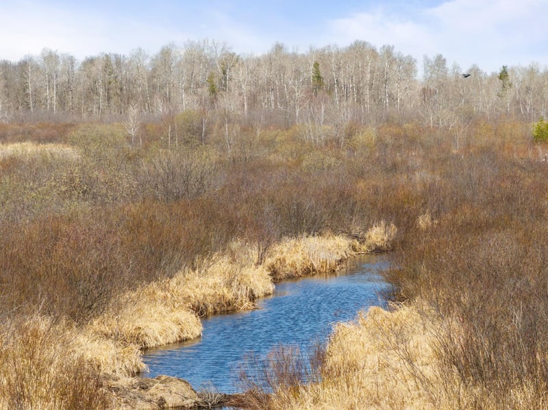 1500 40th St SW, Pine River, MN 56474