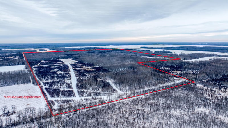 TBD Fourtown Rd NW, Grygla, MN 56727