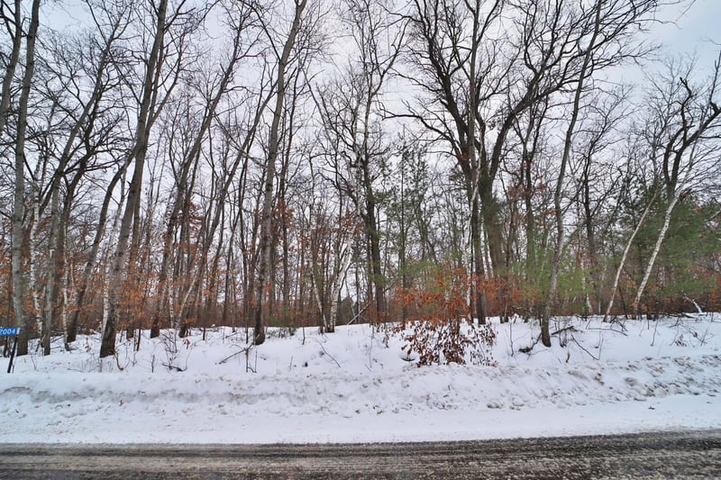 TBD W Shamineau Dr, Motley, MN 56466