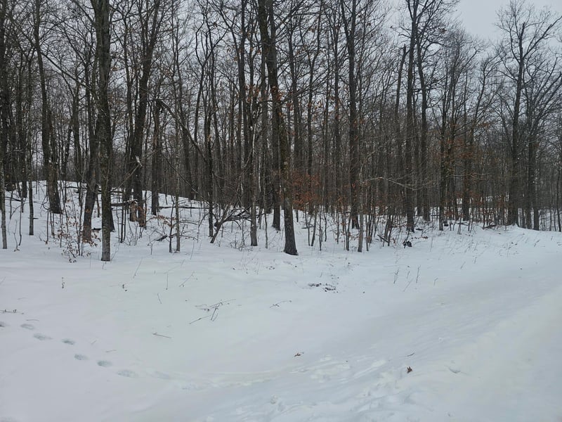 TBD Lot 5 Cascade Ct, Deerwood, MN 56444