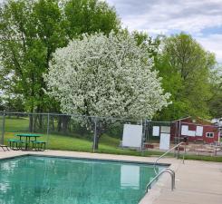2945 County Road 4 #65 SW, Cokato, MN 55321