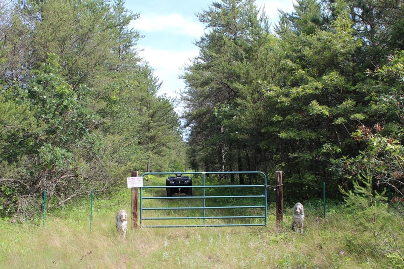 XXX Anderson Rd, Grantsburg, WI 54840