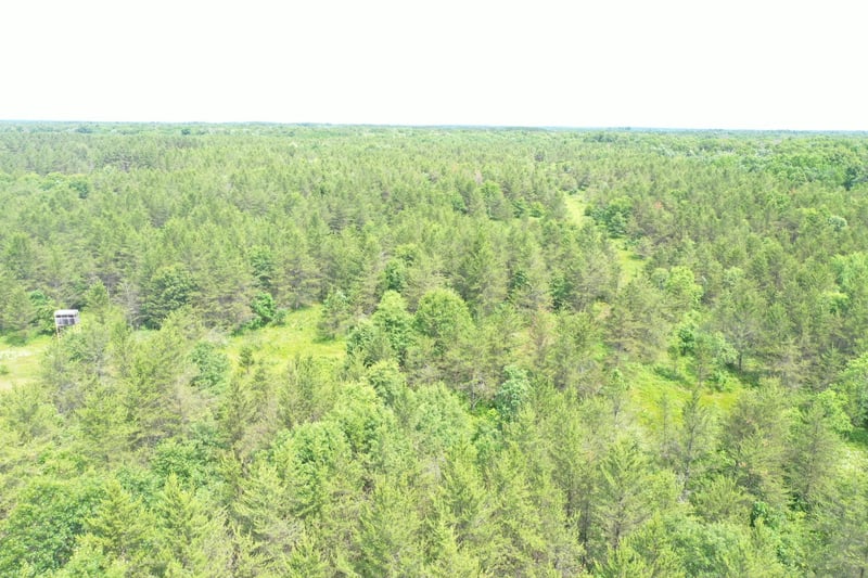 XXX Anderson Rd, Grantsburg, WI 54840