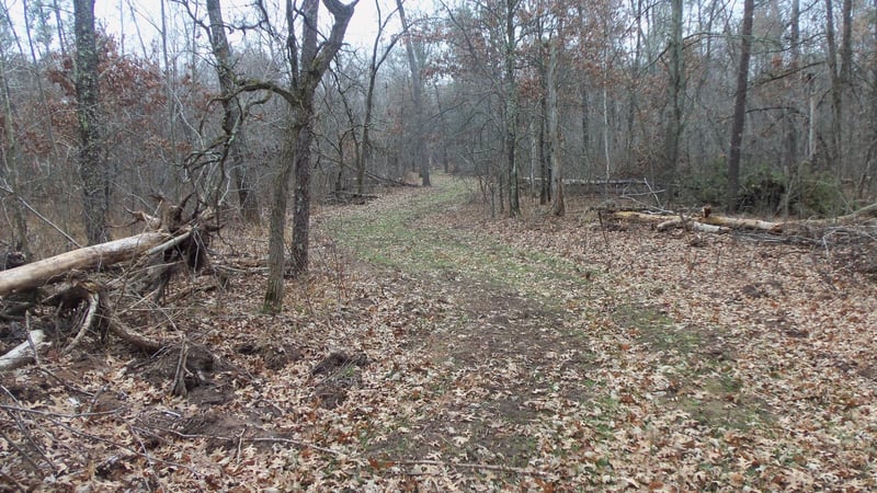 Lot 5 Cnute Creek Trl, Grantsburg, WI 54840