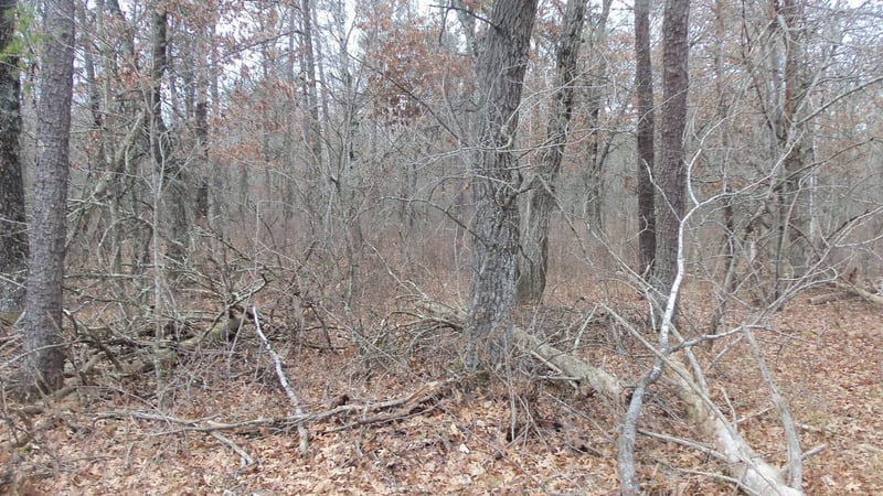 Lot 5 Cnute Creek Trl, Grantsburg, WI 54840