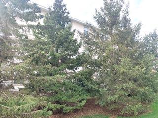 1595 Fox Hunt Way, Victoria, MN 55386