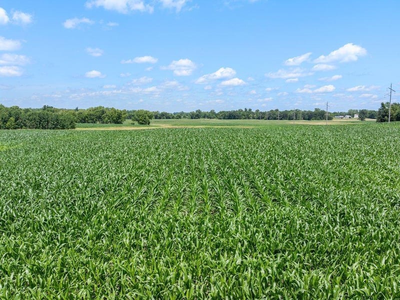 TBD 66th St, New Germany, MN 55367