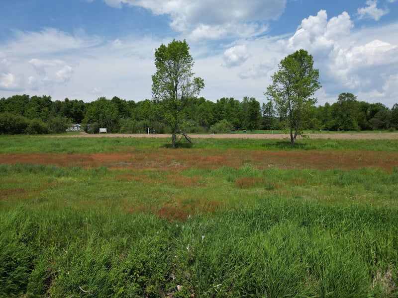 1651 Lake Ave, Luck, WI 54853