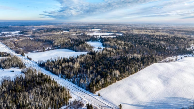 71769 Roys Rd, Blackduck, MN 56630
