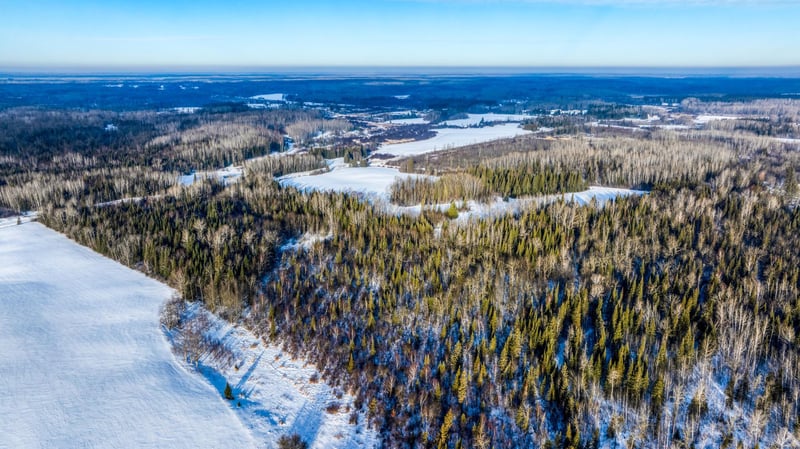 71769 Roys Rd, Blackduck, MN 56630