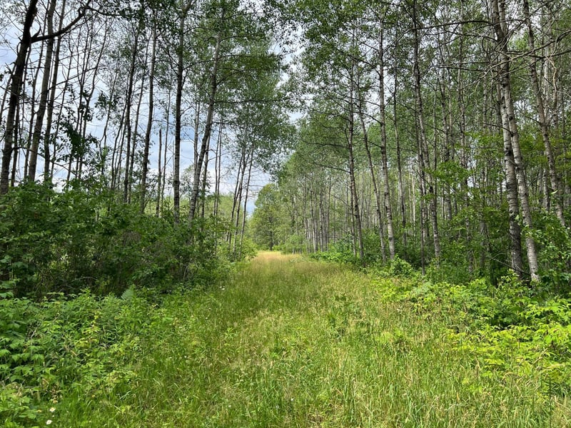 W37XX Frog Creek Rd, Minong, WI 54859