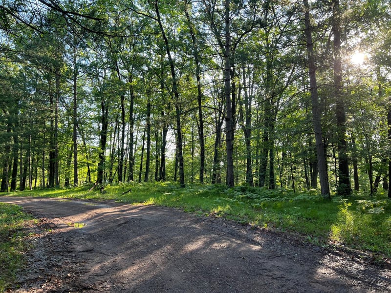 W76XX Chicog Lake Estate Rd, Minong, WI 54888