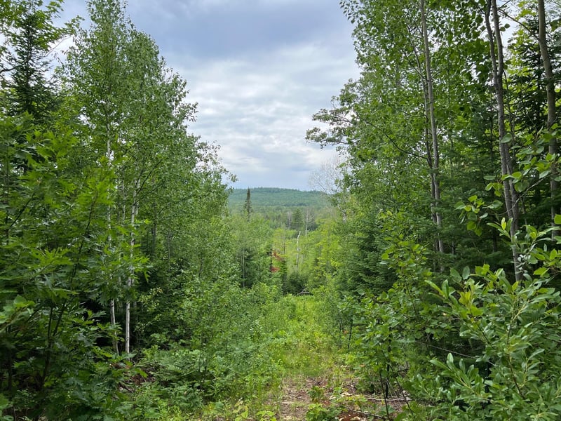 86640 N South Pratt Rd, Bayfield, WI 54814