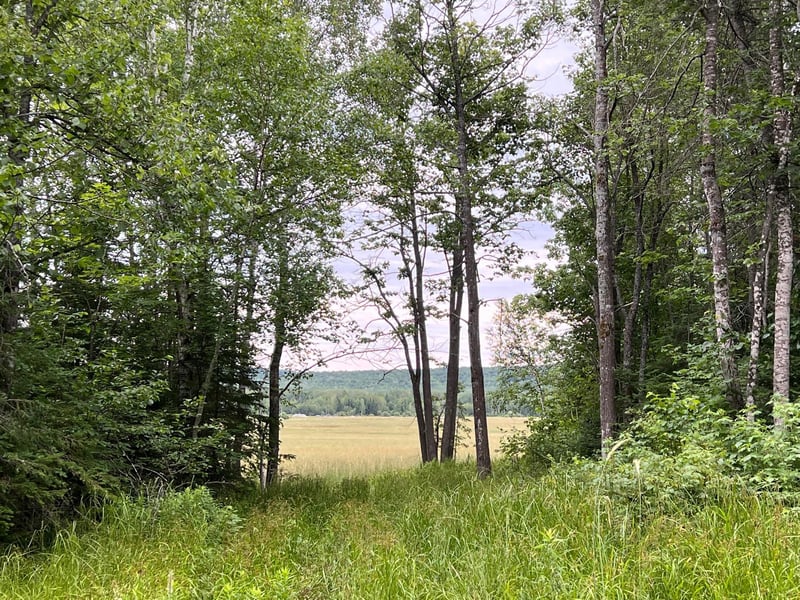 86640 N South Pratt Rd, Bayfield, WI 54814