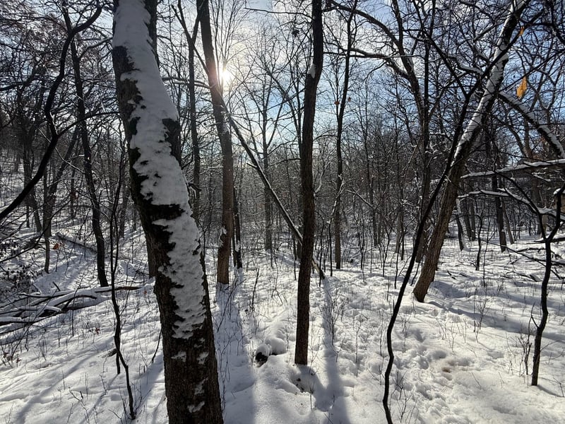197xx Proctor Rd NW, Elk River, MN 55330
