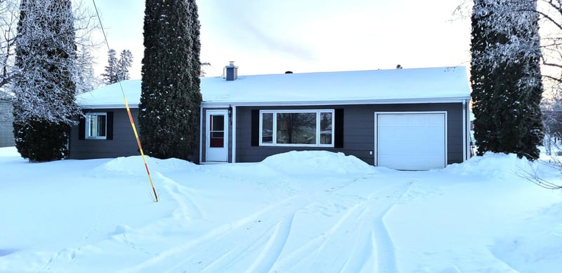 412 E Hamilton Ave, Baudette, MN 56623