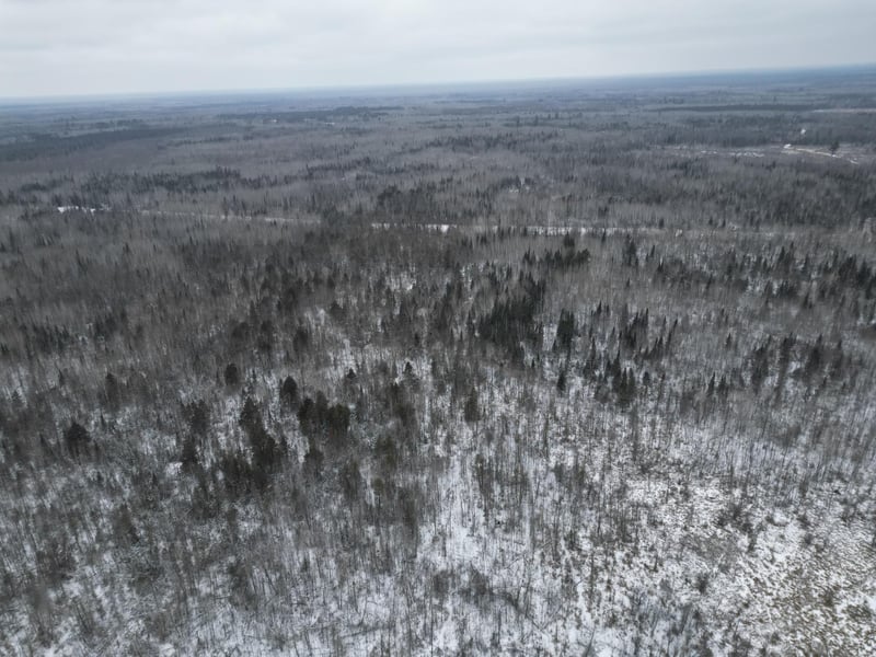 TBD Us 71, Big Falls, MN 56627