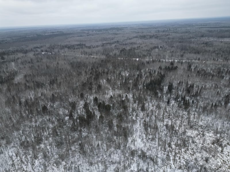 TBD Us 71, Big Falls, MN 56627