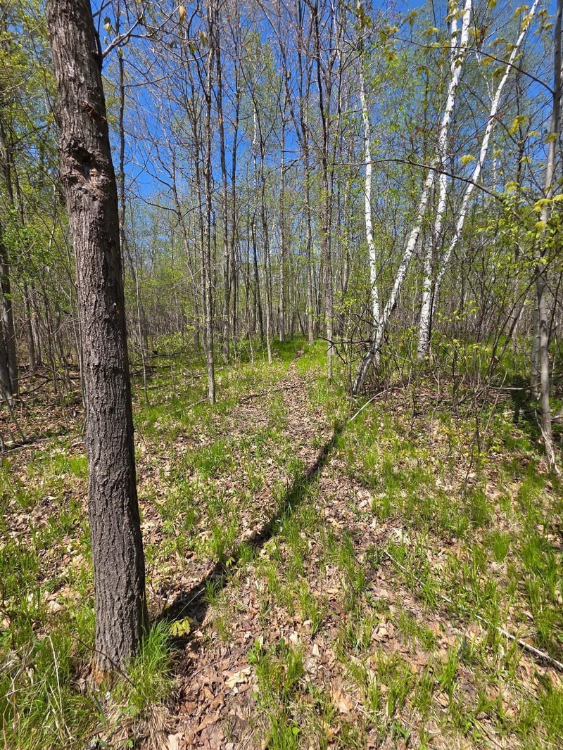 00 4th, Clayton, WI 54004