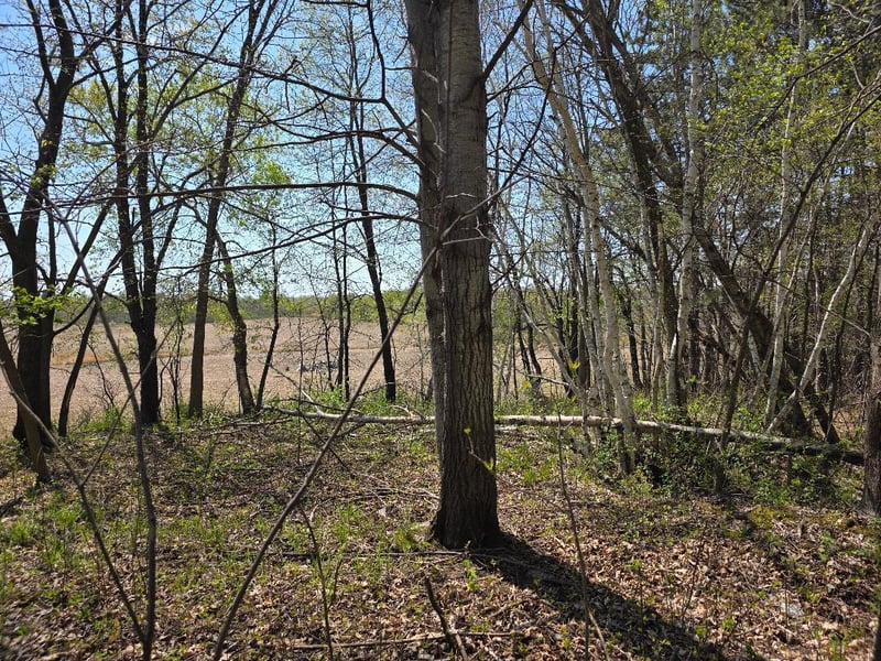 00 4th, Clayton, WI 54004