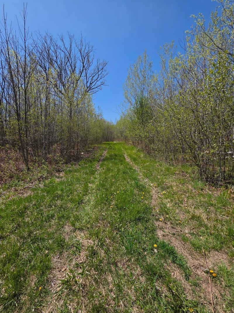 00 4th, Clayton, WI 54004