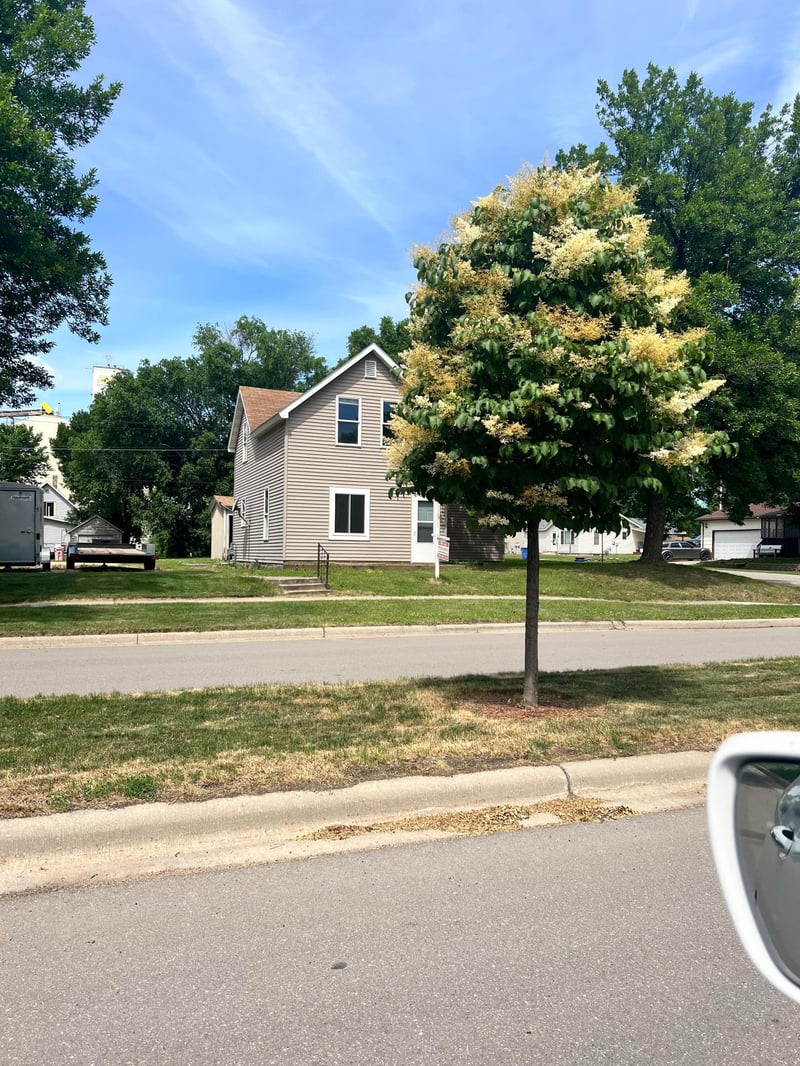 310 6th St, Dawson, MN 56232